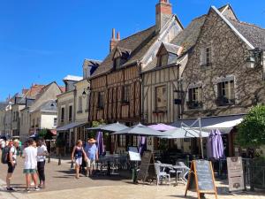 eine Gruppe von Menschen, die eine Straße mit Gebäuden entlang gehen in der Unterkunft L'Amboisienne, Au pays des châteaux in Amboise