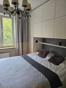 Posteľ alebo postele v izbe v ubytovaní Apartament Rodzinny - całodobowe zakwaterowanie, bezpłatny parking