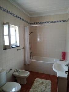 a bathroom with a toilet and a tub and a sink at Bettencourt 2 Rooms in Santa Cruz da Graciosa