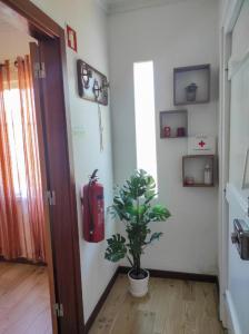a room with a plant and a fire extinguisher on the wall at Bettencourt House in Santa Cruz da Graciosa