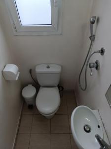 ein Bad mit einem WC, einem Waschbecken und einem Fenster in der Unterkunft 2 bedroom apartment near syntagma in Athen