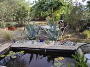 un jardín con un estanque con plantas y un puente de madera en B&B La Terre Brûlée, en Aigues-Mortes