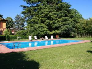 ファエンツァにあるElegant Holiday Home in Faenza with Garden and Poolの大木のあるスイミングプール