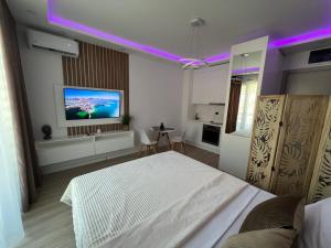 um quarto com uma cama e uma televisão na parede em Luxury apartment Casa Al Mare em Rafailovici