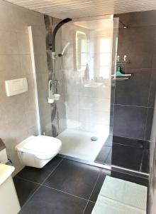 een badkamer met een douche, een toilet en een wastafel bij Cap Bonheur 