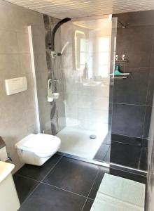 un bagno con doccia, WC e lavandino di Cap Bonheur a Saint-Cierges