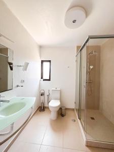 a bathroom with a toilet and a sink and a shower at Sao Rafael Holidays in Albufeira