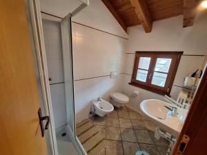 a bathroom with a toilet and a sink and a shower at Agriturismo La Ca' Vegia in San Cassiano