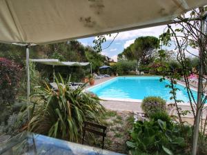 a swimming pool in a garden with an umbrella at Country House with swimming pool and garden with Mediterranean plants in Bettona