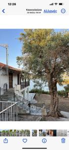 a collage of two pictures of a tree and a house at SEA HOUSE KOUKOULEIKA in Milina +33 photos