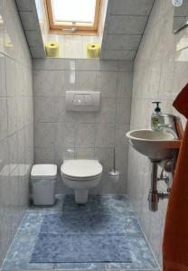 ein Bad mit einem WC und einem Waschbecken in der Unterkunft Ferienwohnung Kirchblick - a77305 in Liebenfels