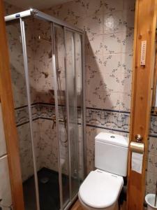 a bathroom with a toilet and a shower at Precioso Apartamento en la Cerdanya in La Molina +18 photos