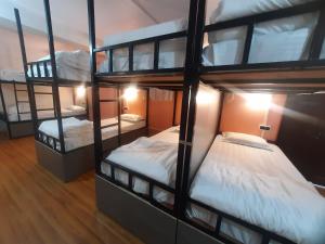 a group of bunk beds in a room at Bubble Beds in Darjeeling
