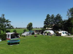 een groep tenten op een grasveld bij Tiny Pipowagen Koolmees in Oudesluis