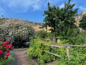 a garden with flowers and a wooden fence at Schlafmütze in Plauen