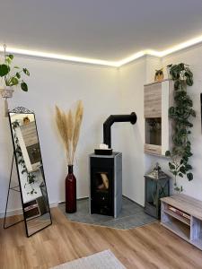 een woonkamer met een houtkachel en een spiegel bij Kleinod Dittmannsdorf 
