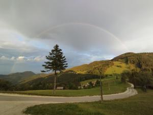 a tree on the side of a road at Planinski dom Vrhe in Trbovlje