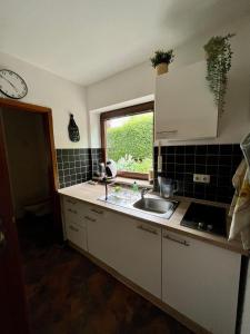 een keuken met een wastafel en een raam bij Kleinod Dittmannsdorf 