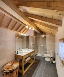 uma casa de banho com um lavatório e um WC em Chalet la Cochette em La Toussuire