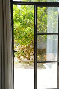 an open window with a view of a tree at Dimora Storica Villa Pasquale Capri in Capri