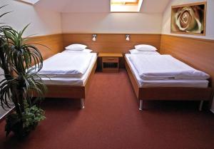 a hospital room with two beds and a potted plant at Promedicum Panzio in Veszprém