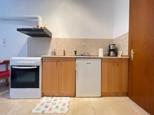 a small kitchen with a stove and a refrigerator at Cactus rooms in Stratoni