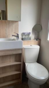 a bathroom with a white toilet and a sink at 3 Bedroom Caravan in Tattershall lakes Holiday Park in Tattershall