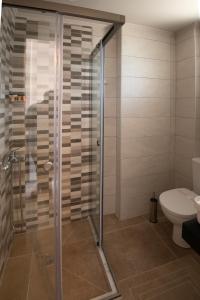 La salle de bains est pourvue d'une douche et de toilettes. dans l'établissement Apanemo Kourouta Luxury Double Room, à Kourouta