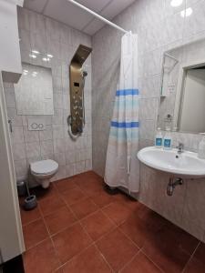 a bathroom with a sink and a shower and a toilet at Stern in Hückelhoven