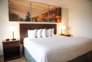Postel nebo postele na pokoji v ubytování Days Inn by Wyndham Waynesboro