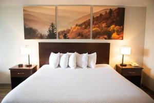 Postel nebo postele na pokoji v ubytování Days Inn by Wyndham Waynesboro