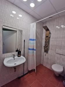 a bathroom with a sink and a toilet and a mirror at Stern in Hückelhoven