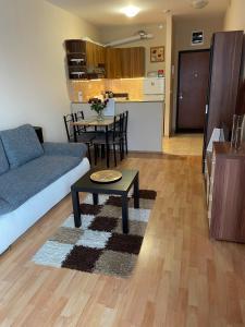 布達佩斯的住宿－Sissy20 Apartman，客厅配有沙发和桌子