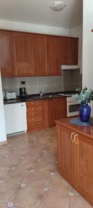 A kitchen or kitchenette at Apartments Villa Mirjam