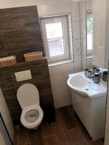 a bathroom with a toilet and a sink at Apartmán Zelenka in Železná Ruda