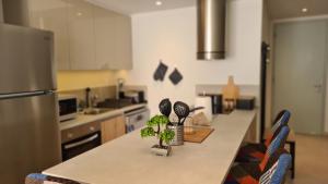 a kitchen with a counter with plants on it at STAY Mediterranean Waves Apartment in Paralimni