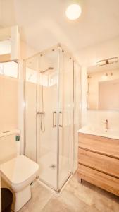 La salle de bains est pourvue d'une douche, de toilettes et d'un lavabo. dans l'établissement Alojamiento Nevada, à La Zubia
