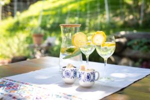 a table with two glasses and a vase with lemon slices at Horse Farm Holiday Pr' Kolenc in Zgornje Gorje