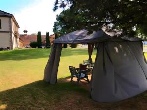 a tent and a chair under a tree at Frogner Hovedgård in Skien