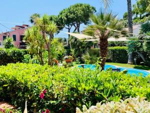um resort com piscina, palmeiras e arbustos em Hotel Elba em Marina di Campo