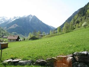 フッシュ・アン・デア・グロックナーシュトラーセにあるLuxury chalet in Fusch an der Grossglocknerstrasse Salzburgerland with saunaの山を背景にした緑草原