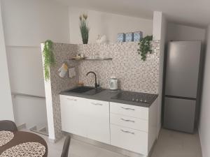 Kuchyň nebo kuchyňský kout v ubytování Apartment penthouse & apartment studio Franci