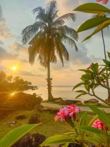 un palmier à fleurs roses au bord de l'océan dans l'établissement The Ngam Kho Resort, à Ko Kood