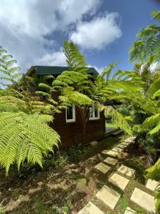 dom z palmami przed nim w obiekcie Bungalow à flanc de montagne w mieście Le Morne Rouge