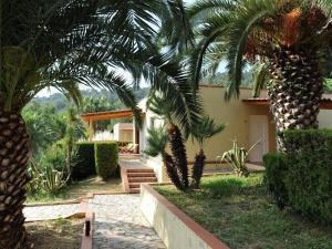 チェントラにあるLuxurious Holiday Home in Palinuro Italy with Swimming Poolの庭に2本のヤシの木がある家