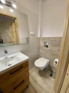 La salle de bains est pourvue de toilettes, d'un lavabo et d'un miroir. dans l'établissement Dom Gościnny Ostoja, à Międzywodzie