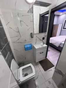 a bathroom with a toilet and a sink and a mirror at baran suites in Istanbul