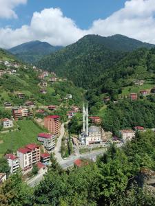 widok na miasto w górach w obiekcie Uzungöl-Daire-Apart-Kiralık w mieście Çaykara