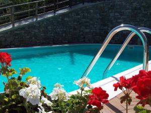 una piscina con agua azul y flores rojas en Flat with heated hot tub and shared pool, en Casola in Lunigiana