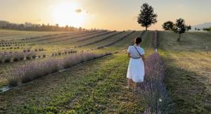 a woman walking through a lavender field at sunset at la baita nei boschi in Serramazzoni